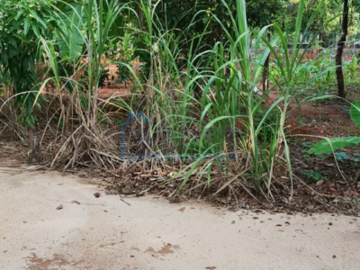 Mini chácara urbana em área nobre de Gurupi- Cód 02