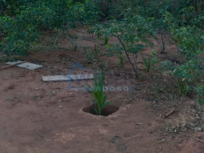 Mini chácara urbana em área nobre de Gurupi- Cód 02